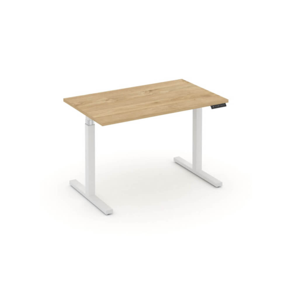 Стол электроподъёмный 1180x720x720-1190