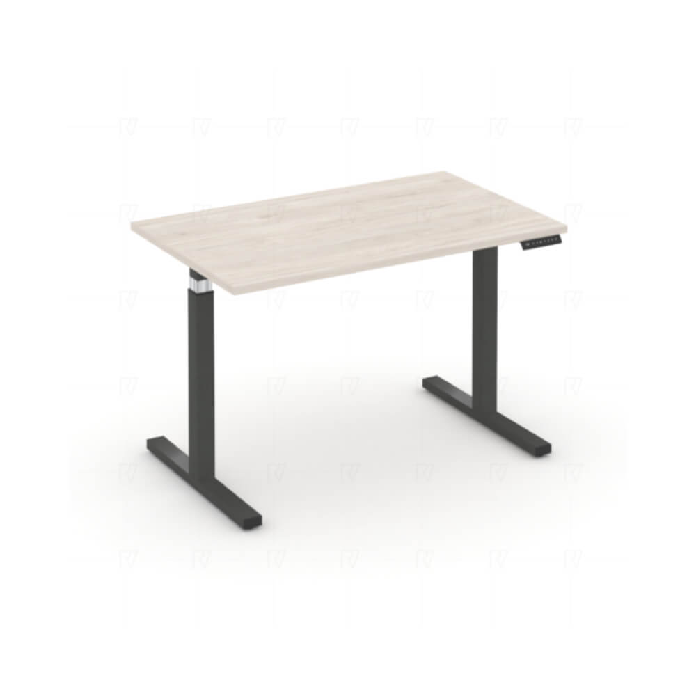 Стол электроподъёмный 1180x720x720-1190