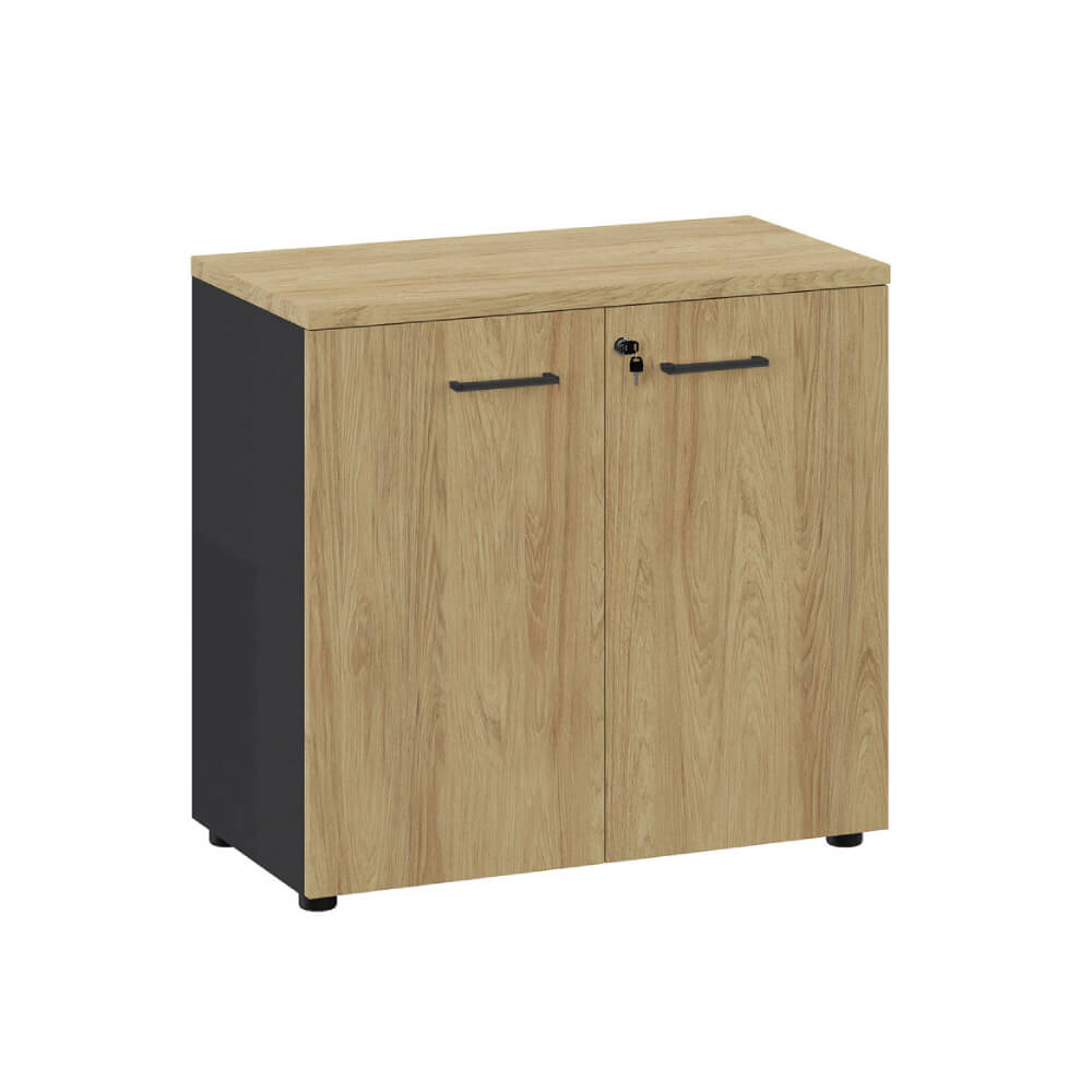 Шкаф низкий 2 ур. 800x420x760