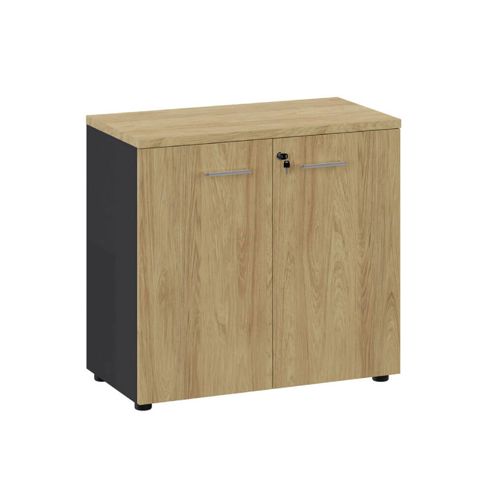 Шкаф низкий 2 ур. 800x420x760